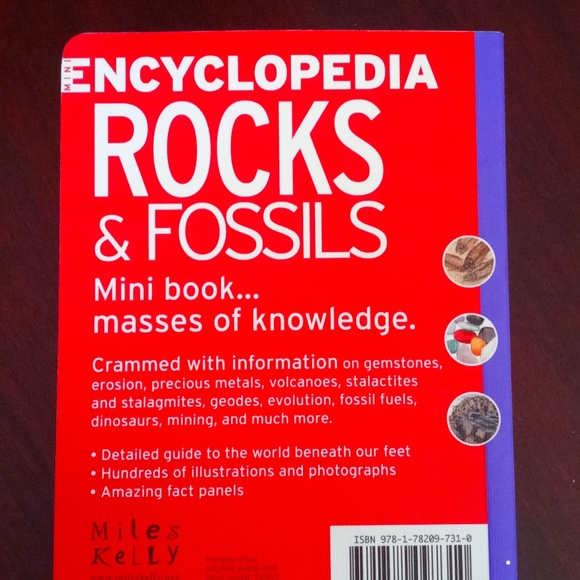📚 Mini Encyclopedia: Rocks & Fossils - Picture 2 of 3